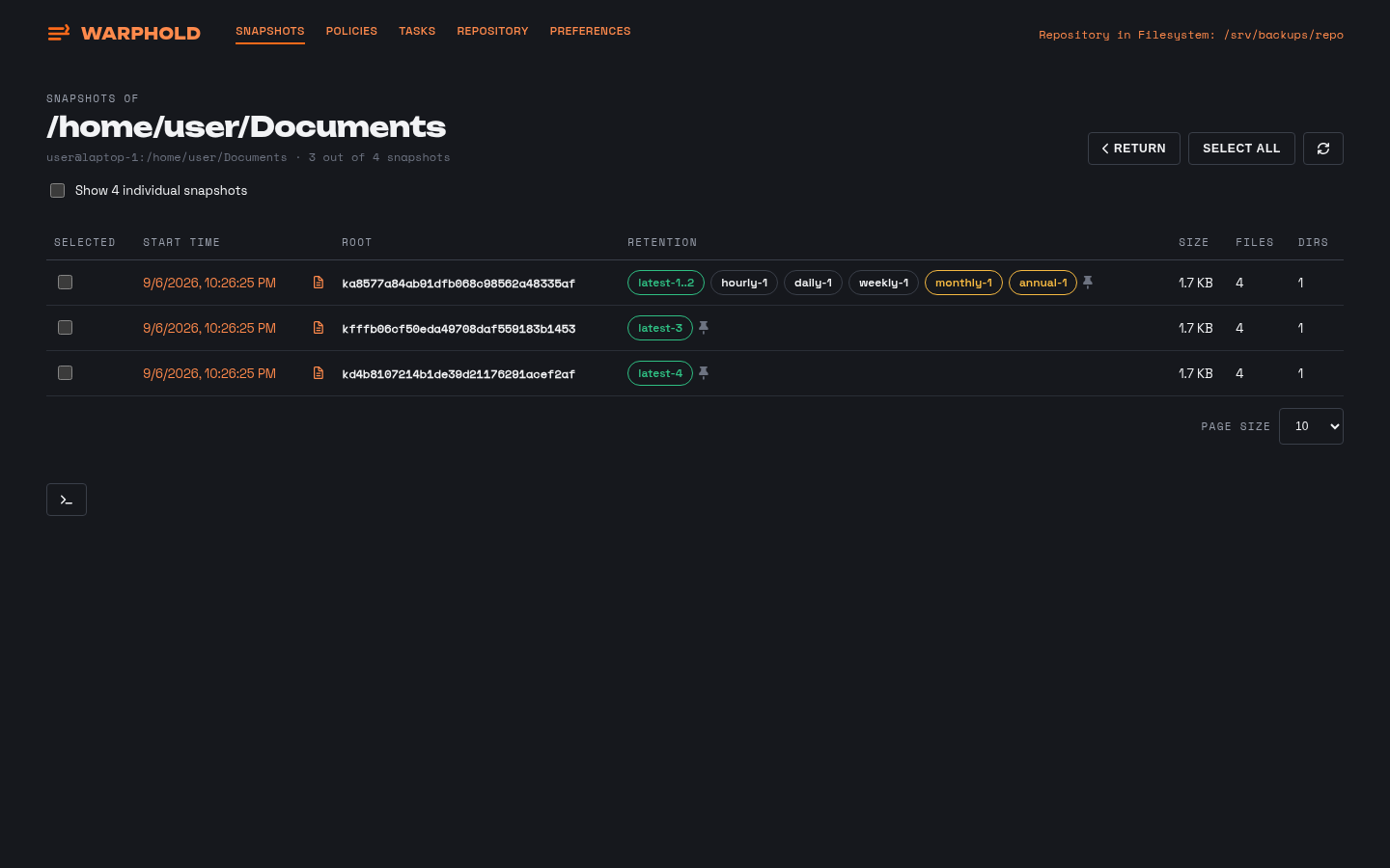 Snapshot history for one source, showing each run with its time, size and duration.